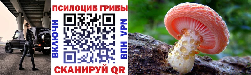 как найти закладки  Видное  Галлюциногенные грибы мухоморы 